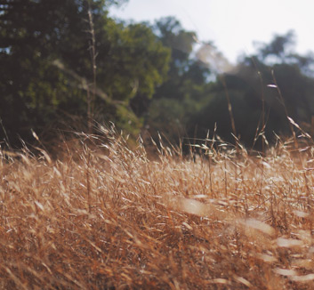 艾力斯塔队：谱写史诗级逆转，点燃信仰之火